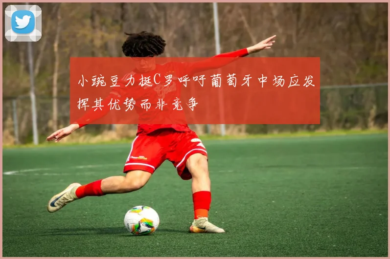 小豌豆力挺C罗呼吁葡萄牙中场应发挥其优势而非竞争